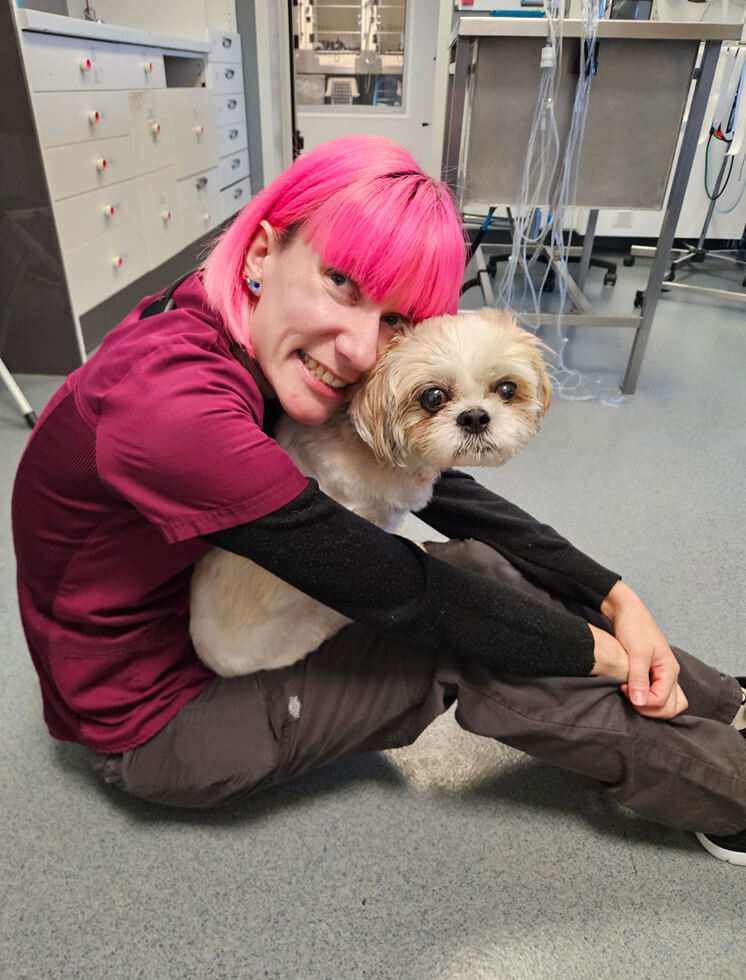 Vétérinaire avec un chien