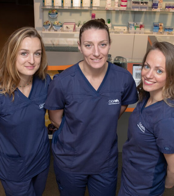 équipe clinique vétérinaire Sables d'Olonne Alizés