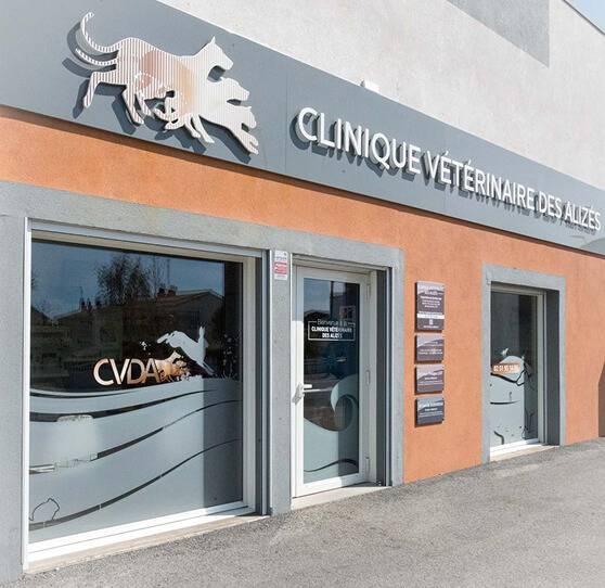 B&acirc;timent clinique v&eacute;t&eacute;rinaire des Aliz&eacute;s