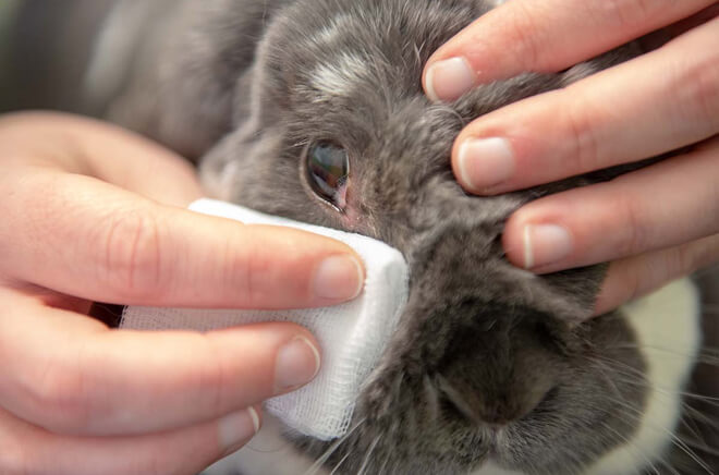 Médecine générale