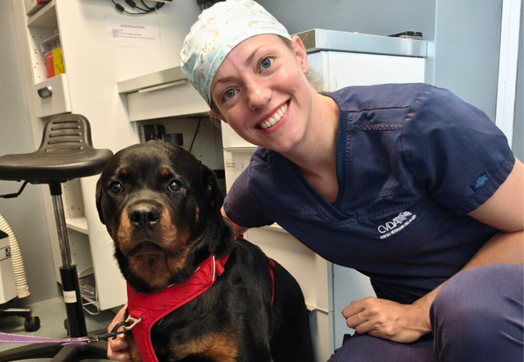 rendez-vous vétérinaire