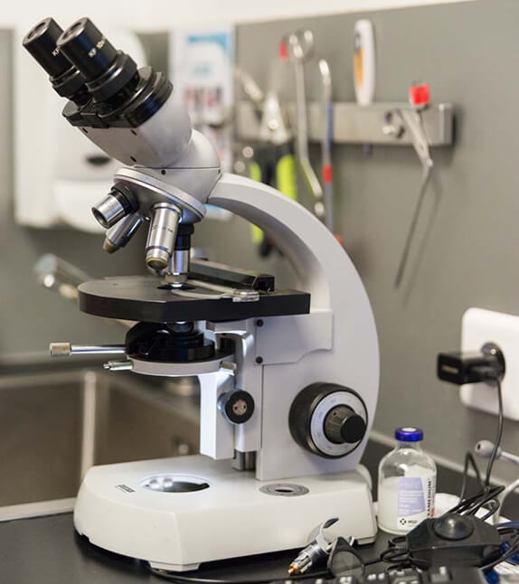 Microscope pour services vétérinaires